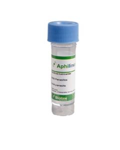 Aphiline - Aphidius colemani - Vial - 1k count