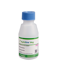 Aphiline Veg - Aphidius colemani + Aphidius ervi + Aphelinus abdominalis - Vial - 500 count