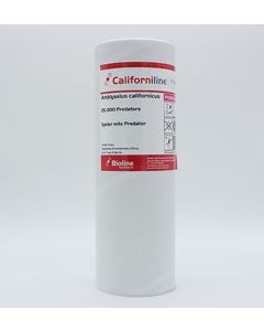 Californiline——Amblyseius californicus- Tube - 25k count