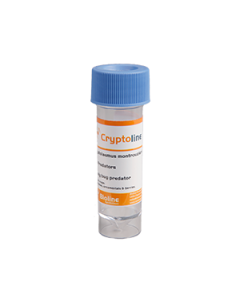 Cryptoline - Cryptolaemus montrouzieri - Vial - 25 count