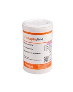 Staphyline - Atheta coriaria - Tube - 500 count