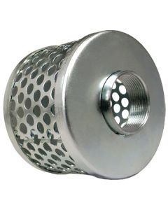 Steel Basket Suction Strainer - FPT