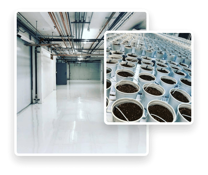 Sanitary Commercial Grow Room Services